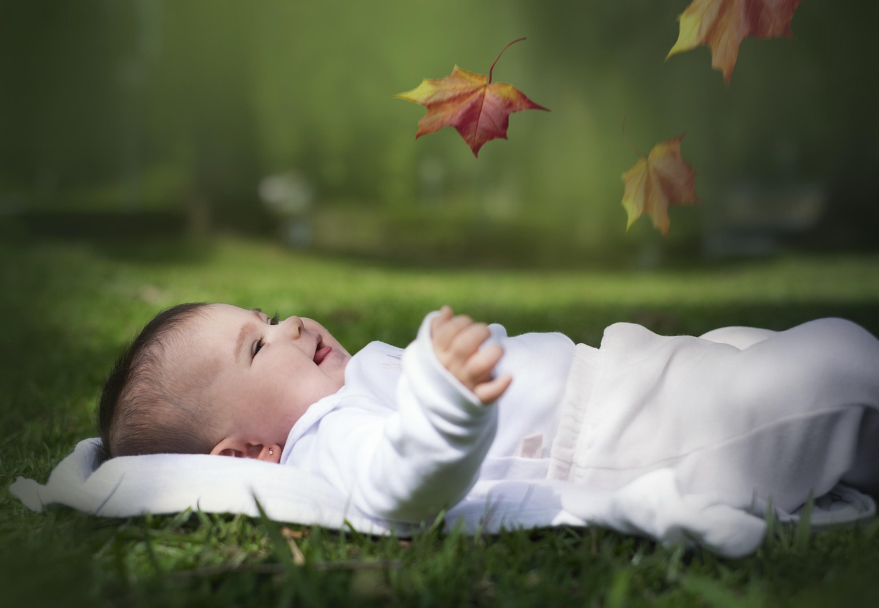 Bebê e Natureza: Benefícios da Conexão com o Mundo Natural para o Desenvolvimento Infantil